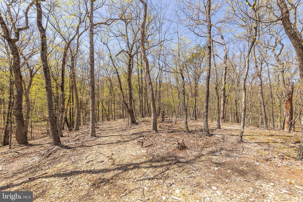 275 OAK FOREST LANE