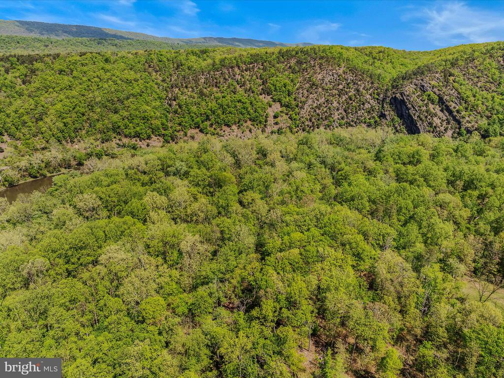 Vista River Road