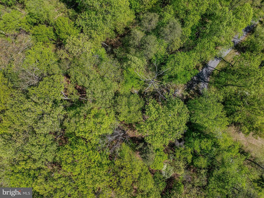 Vista River Road