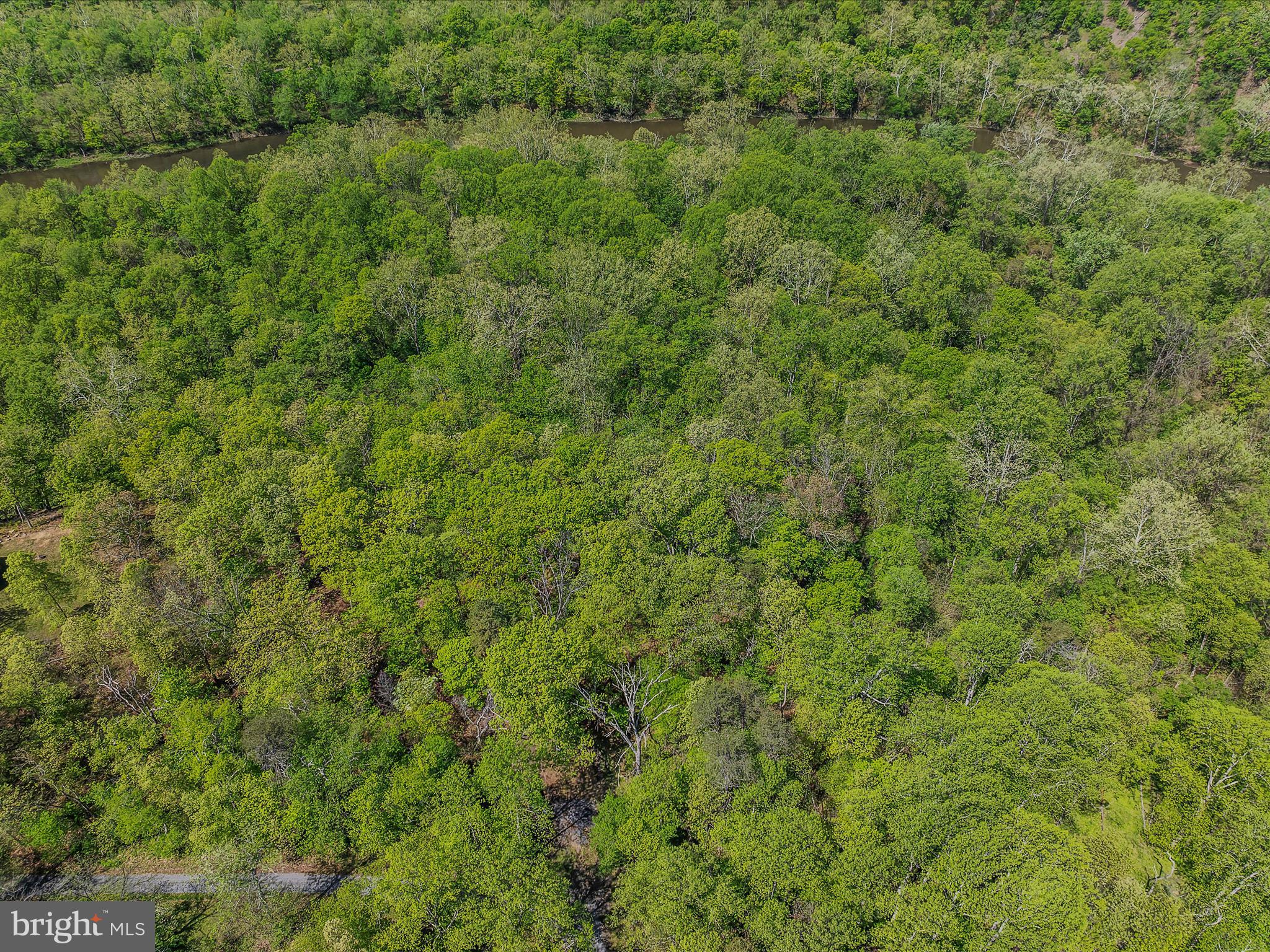 Vista River Road