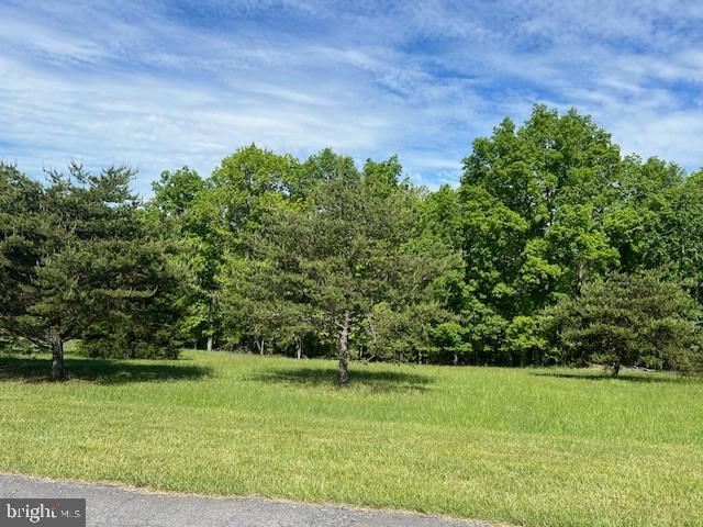 Top Meadow Ln