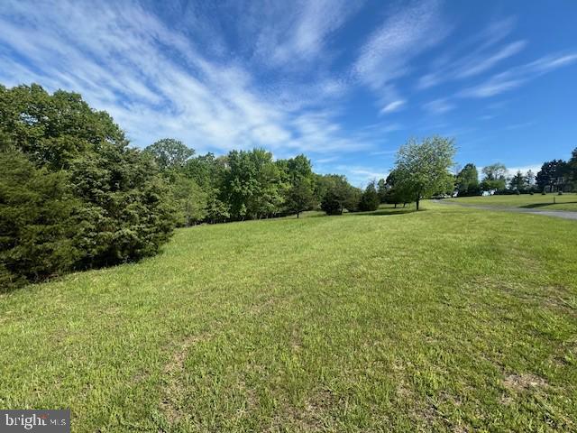 Top Meadow Ln