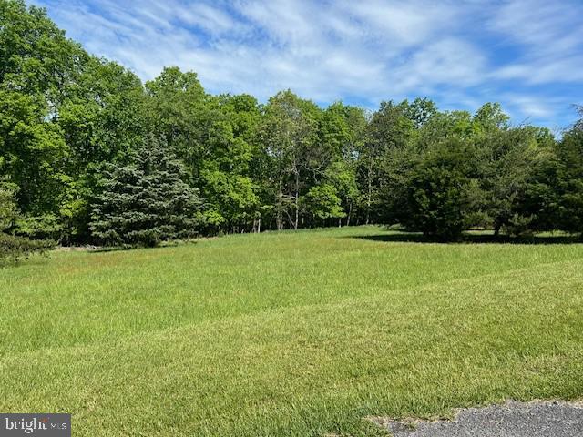 Top Meadow Ln