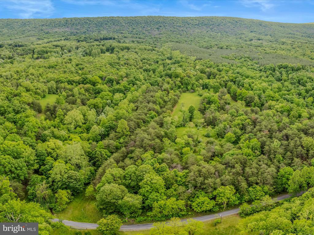 2429 Posey Hollow Rd