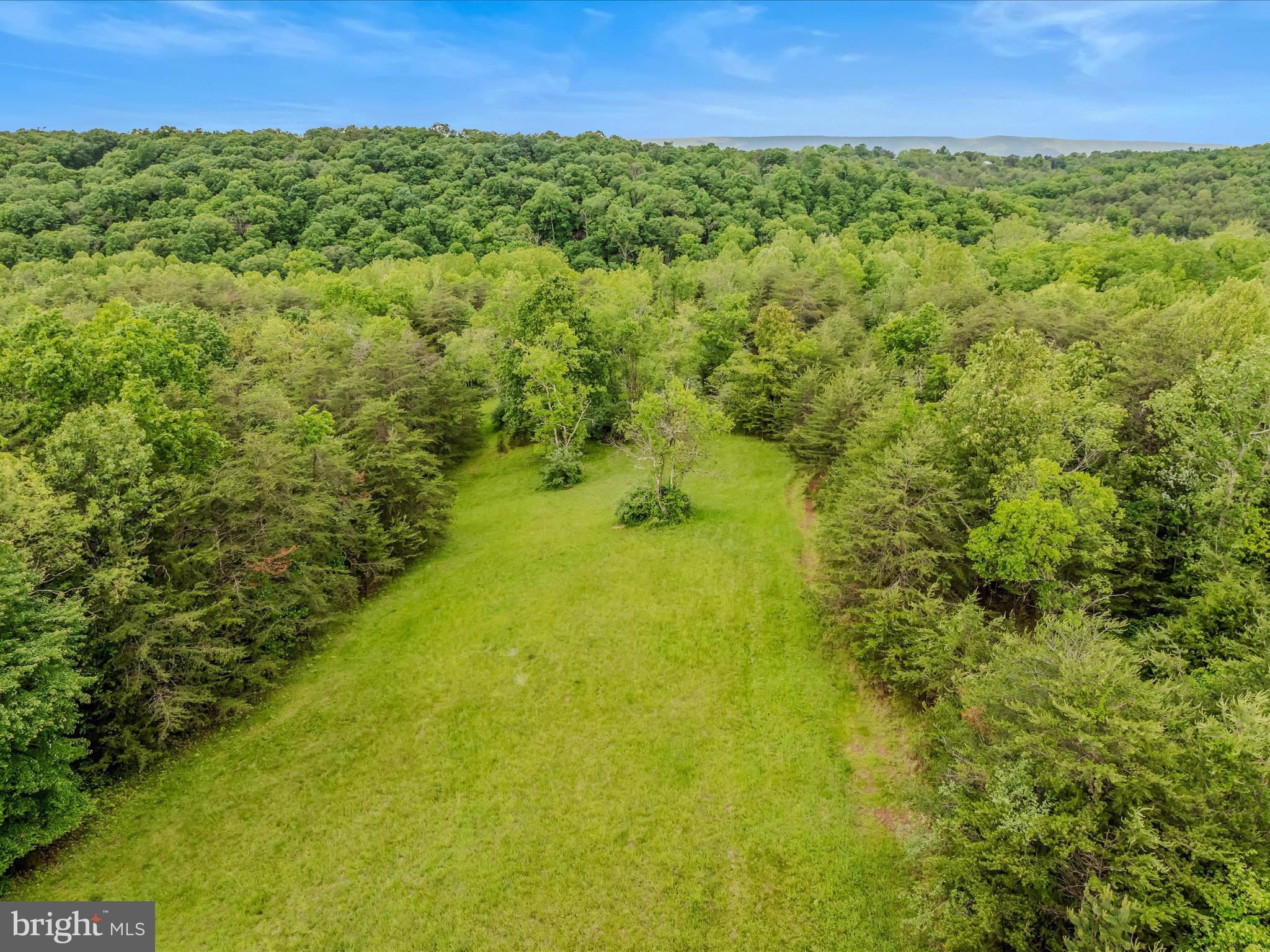 2429 Posey Hollow Rd