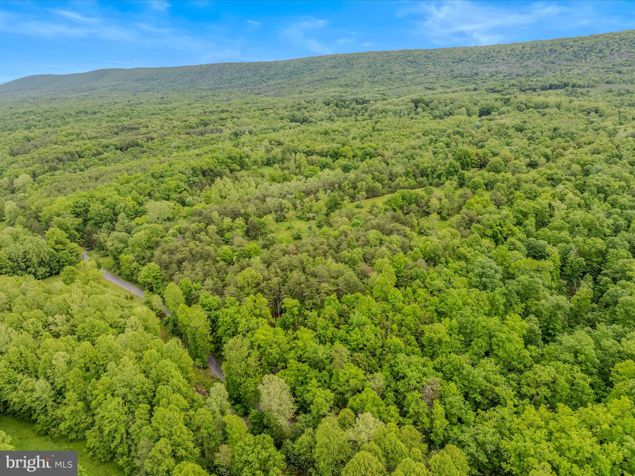 2429 Posey Hollow Rd