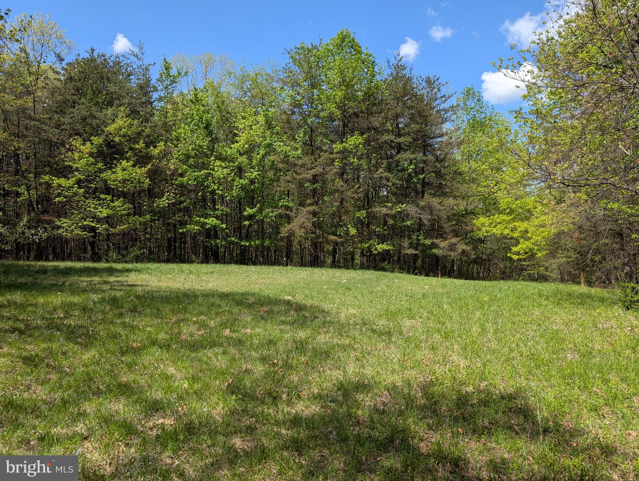2429 Posey Hollow Rd