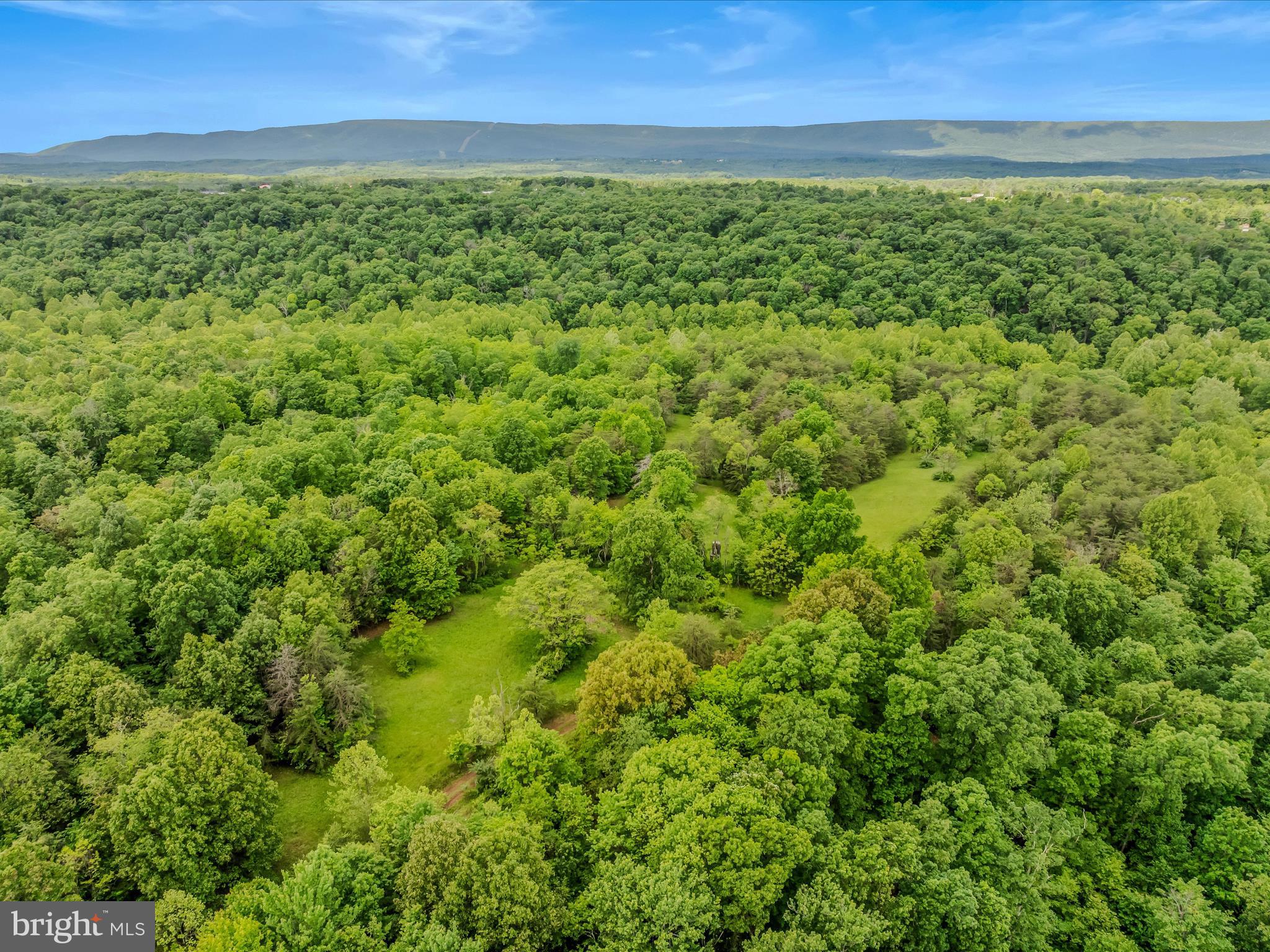 2429 Posey Hollow Rd