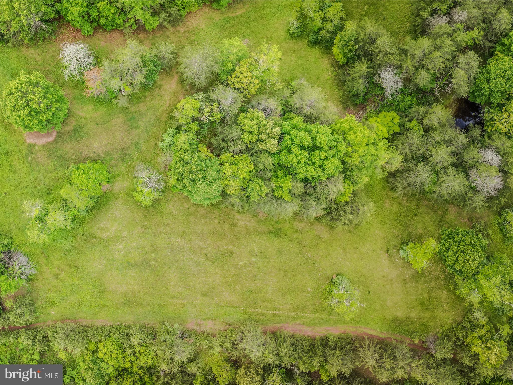 2429 Posey Hollow Rd