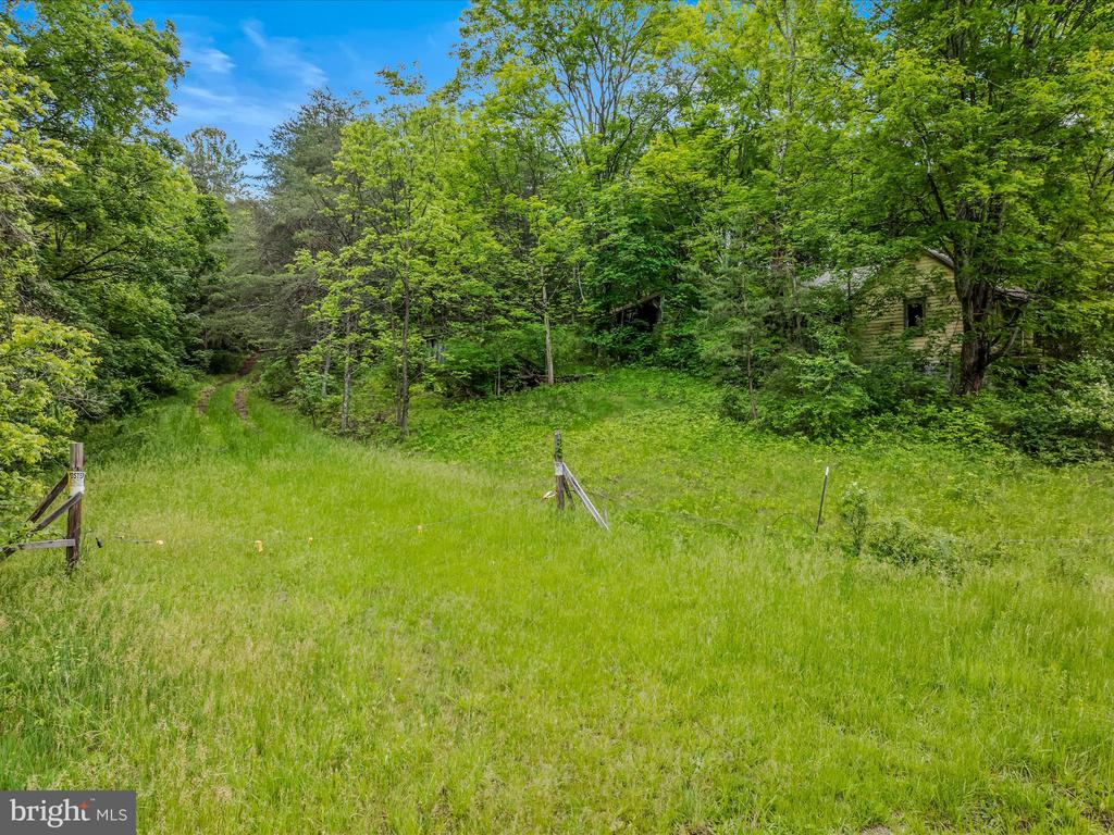 2429 Posey Hollow Rd