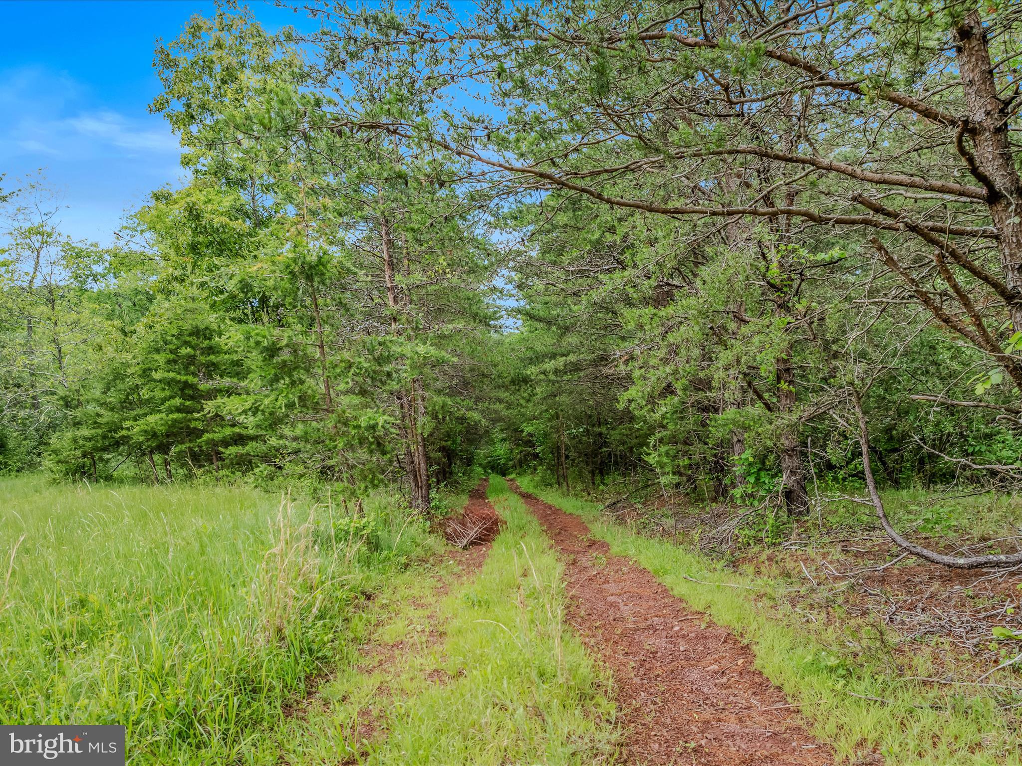 2429 Posey Hollow Rd