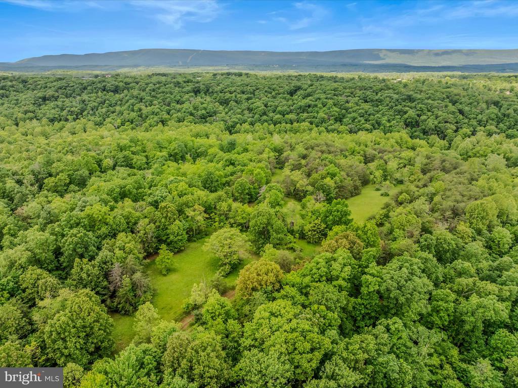2429 Posey Hollow Rd