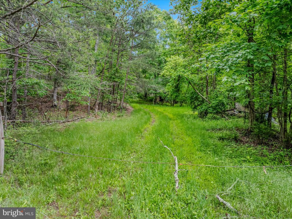 2429 Posey Hollow Rd