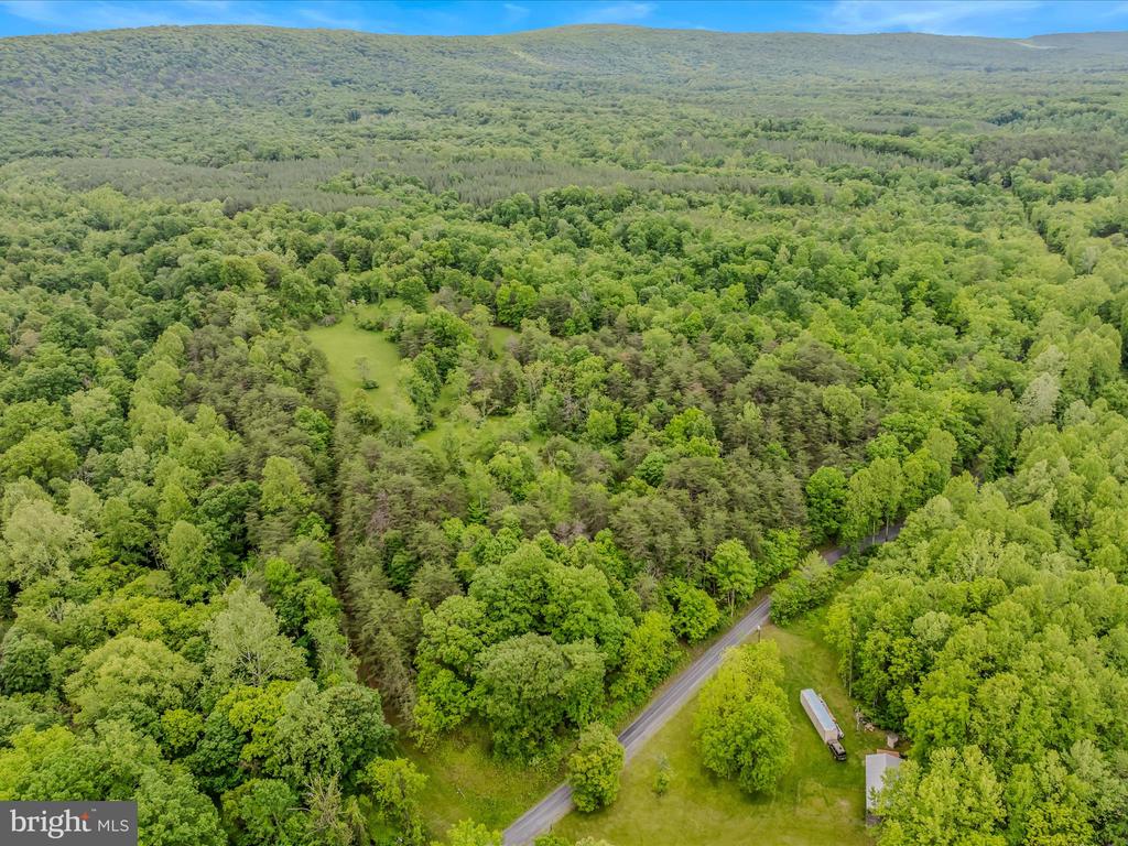 2429 Posey Hollow Rd