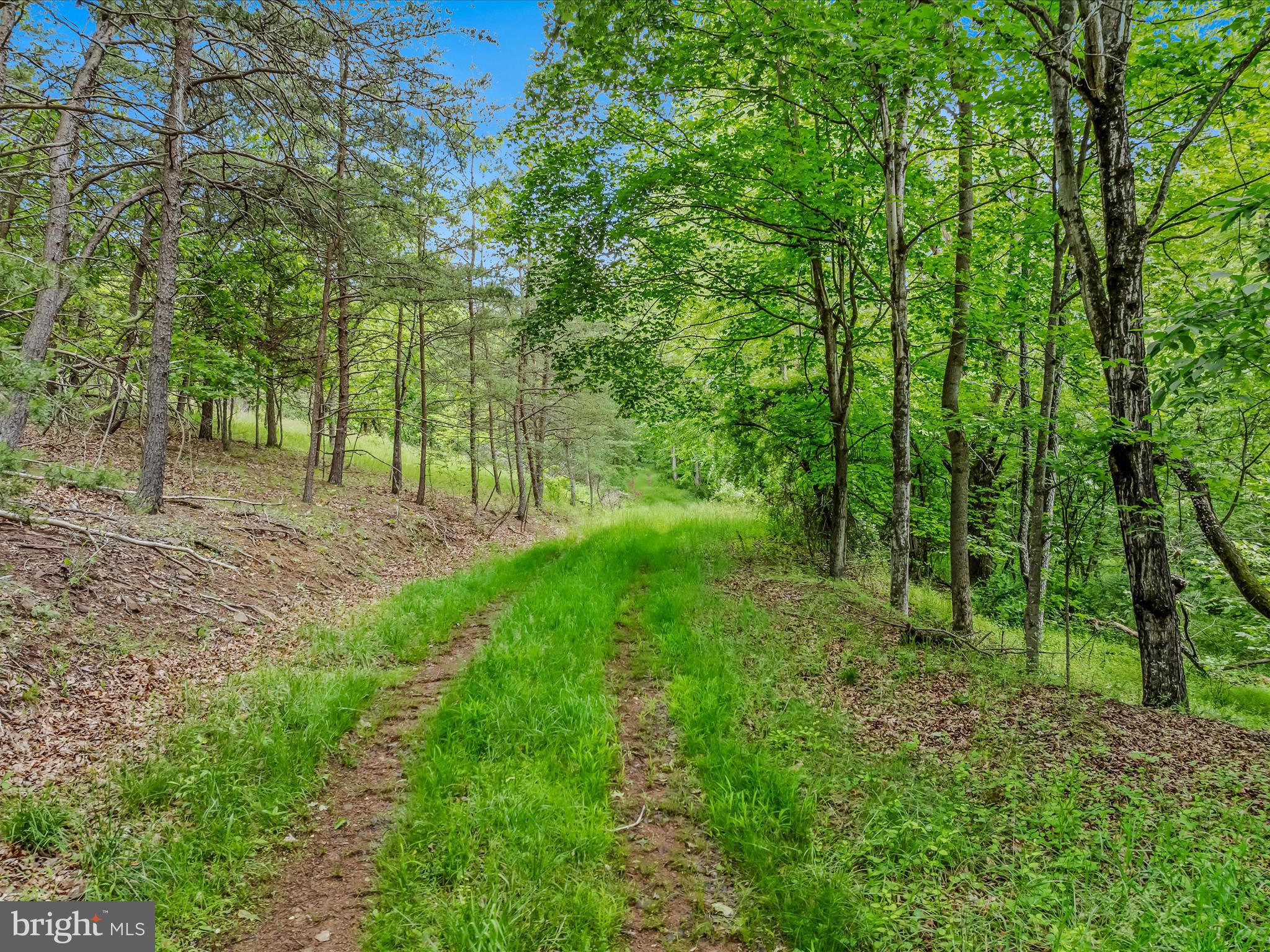 2429 Posey Hollow Rd