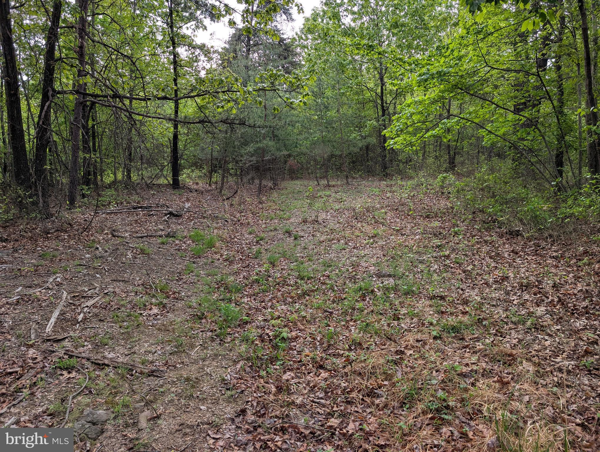 2429 Posey Hollow Rd