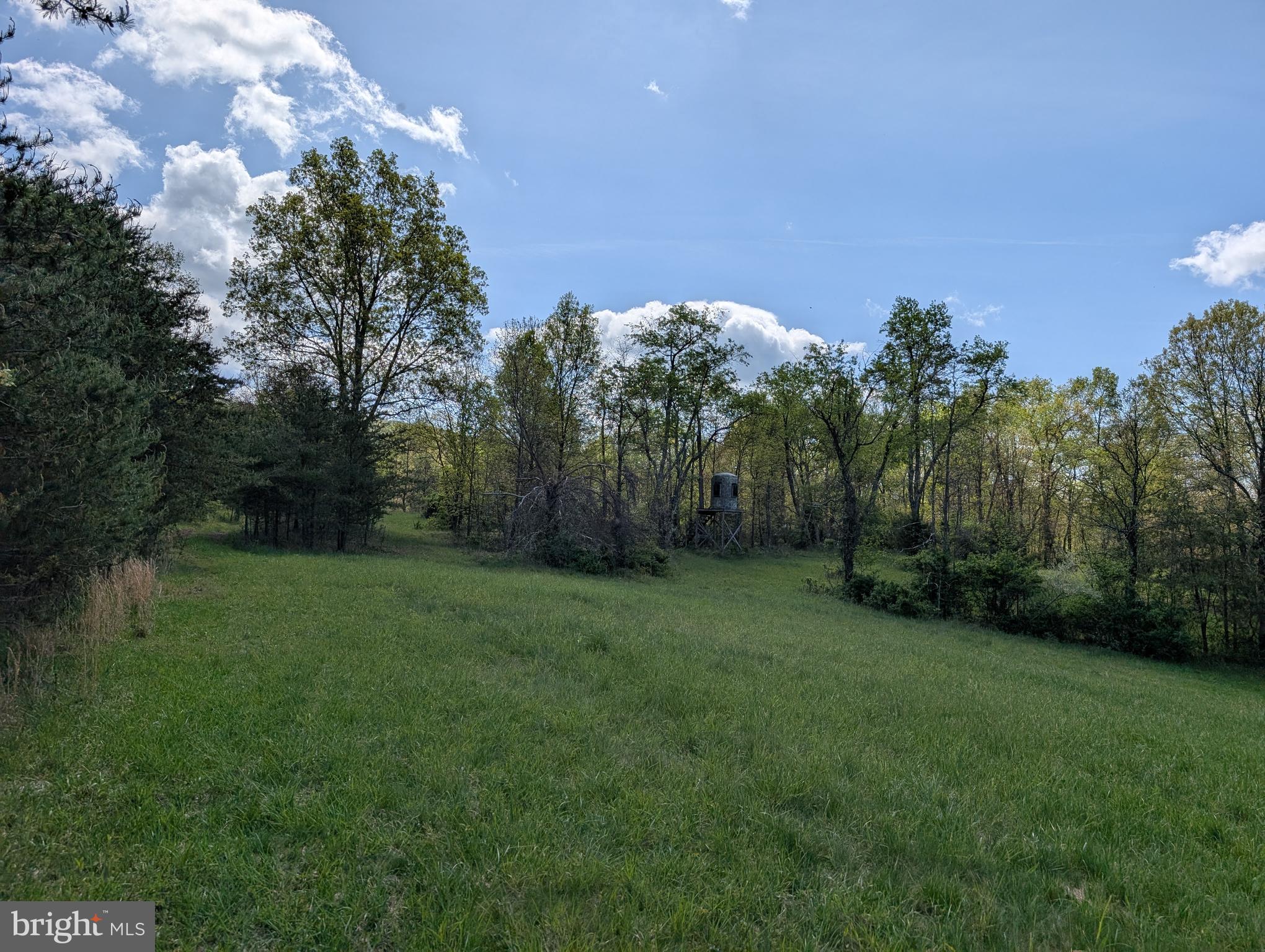 2429 Posey Hollow Rd