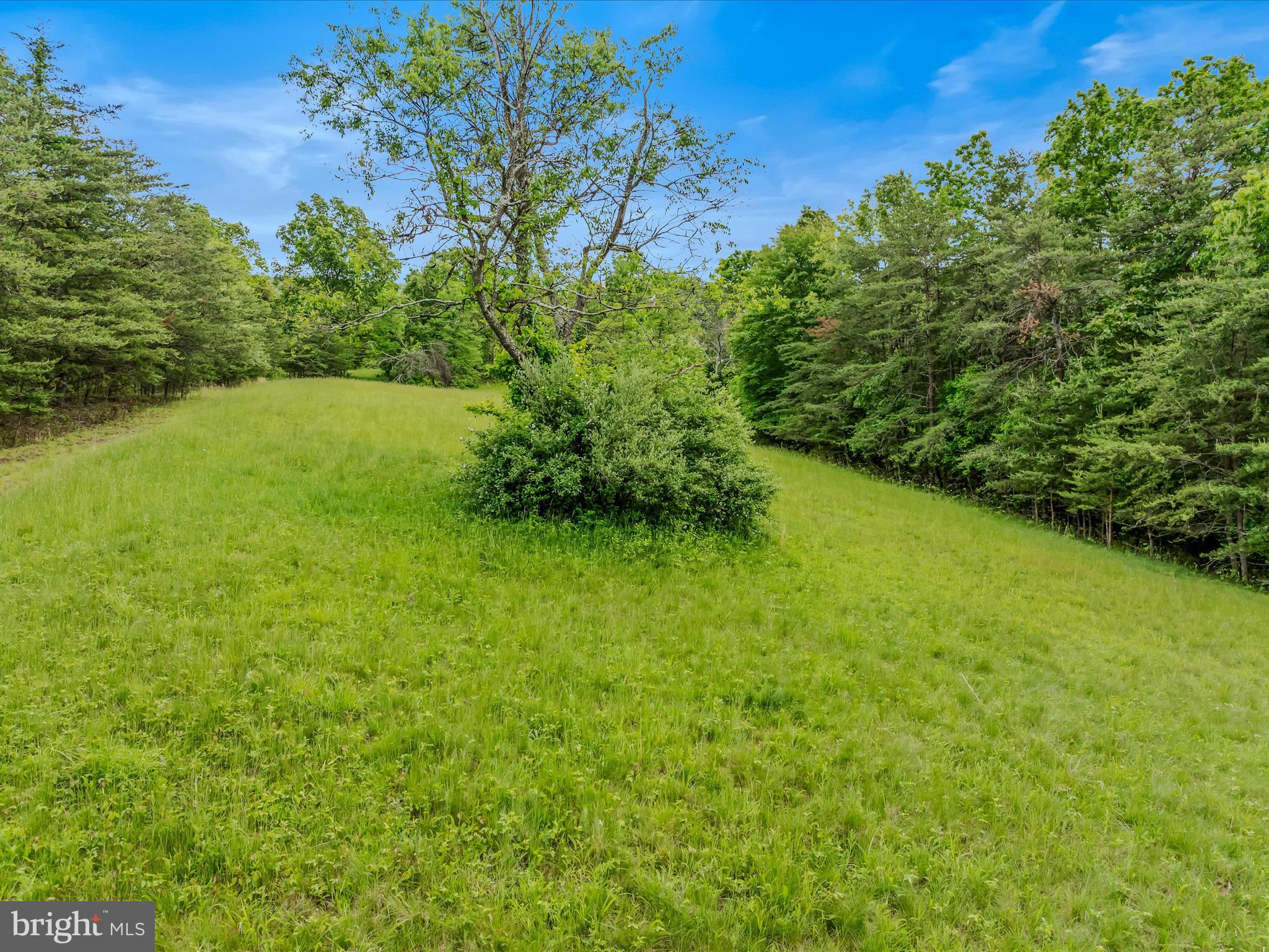 2429 Posey Hollow Rd