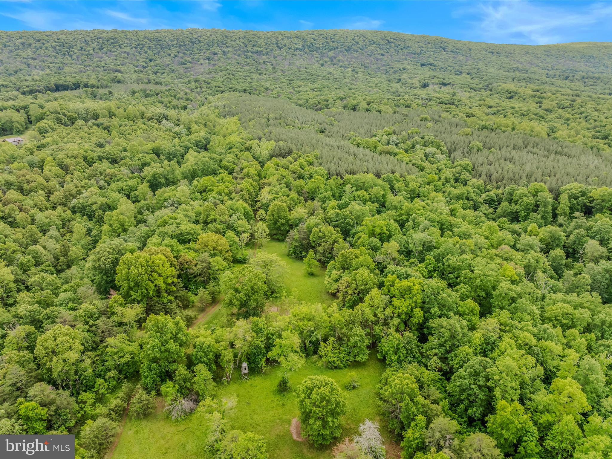 2429 Posey Hollow Rd