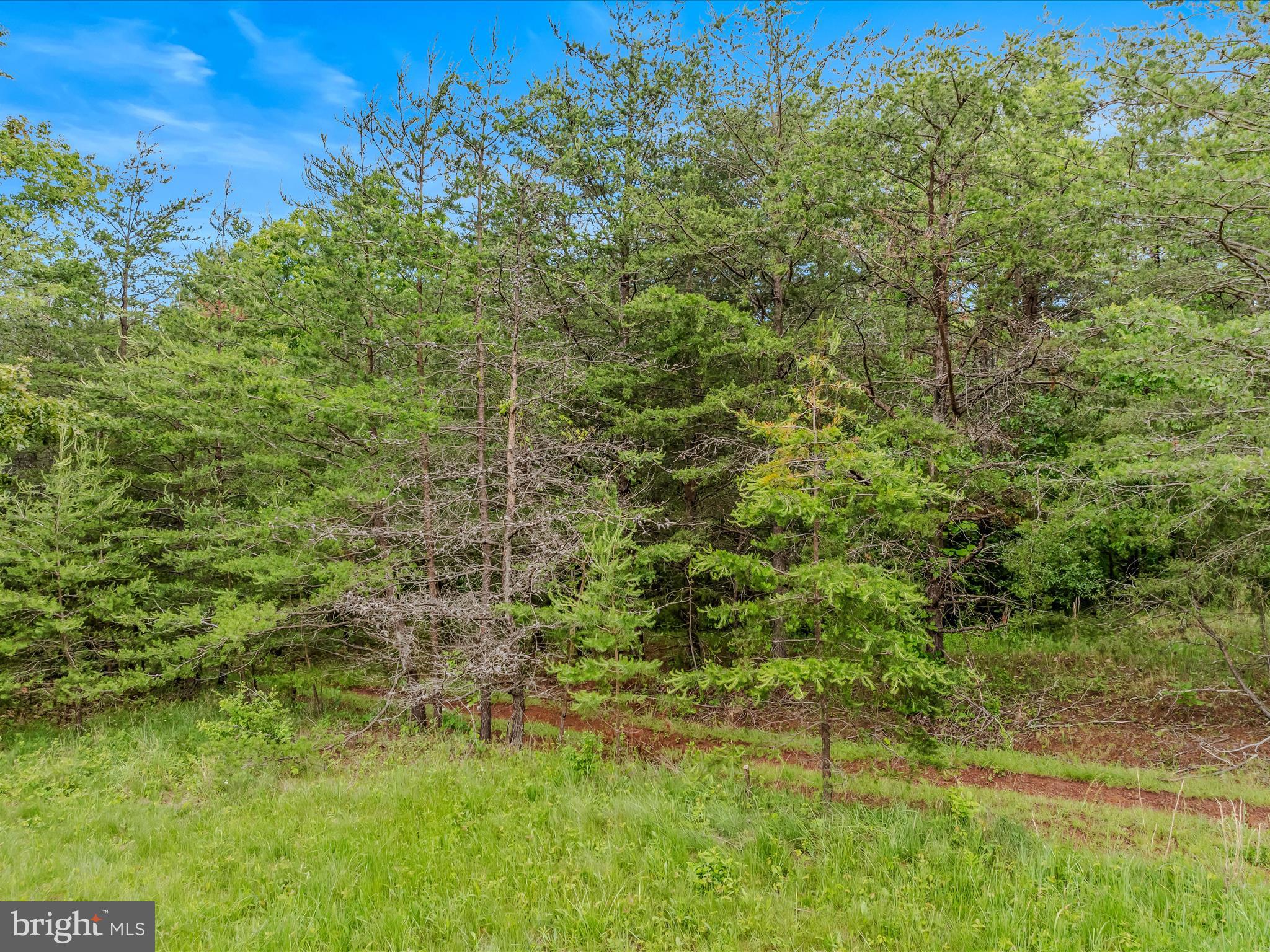 2429 Posey Hollow Rd