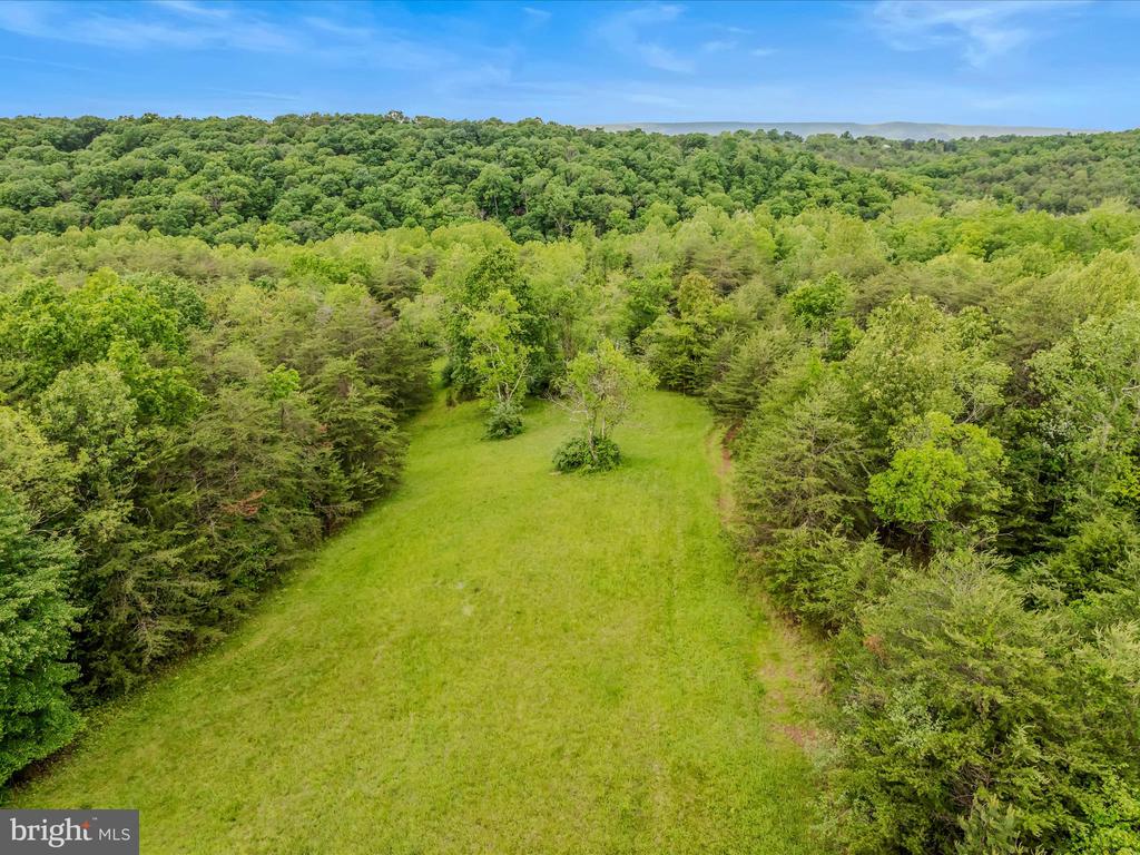 2429 Posey Hollow Rd
