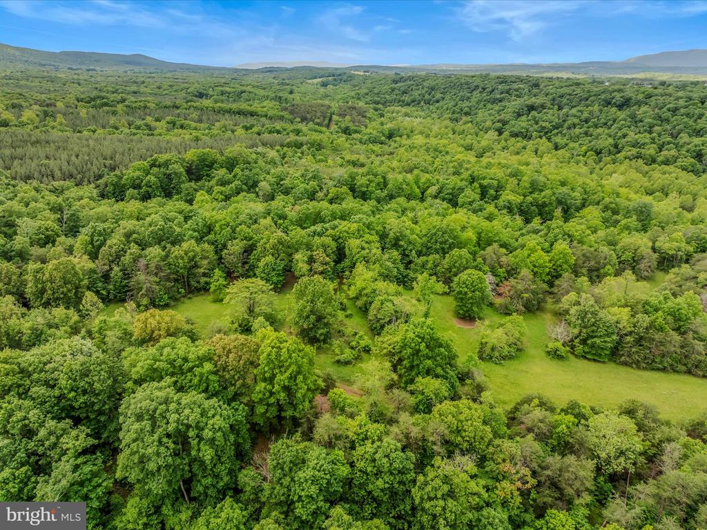 2429 Posey Hollow Rd