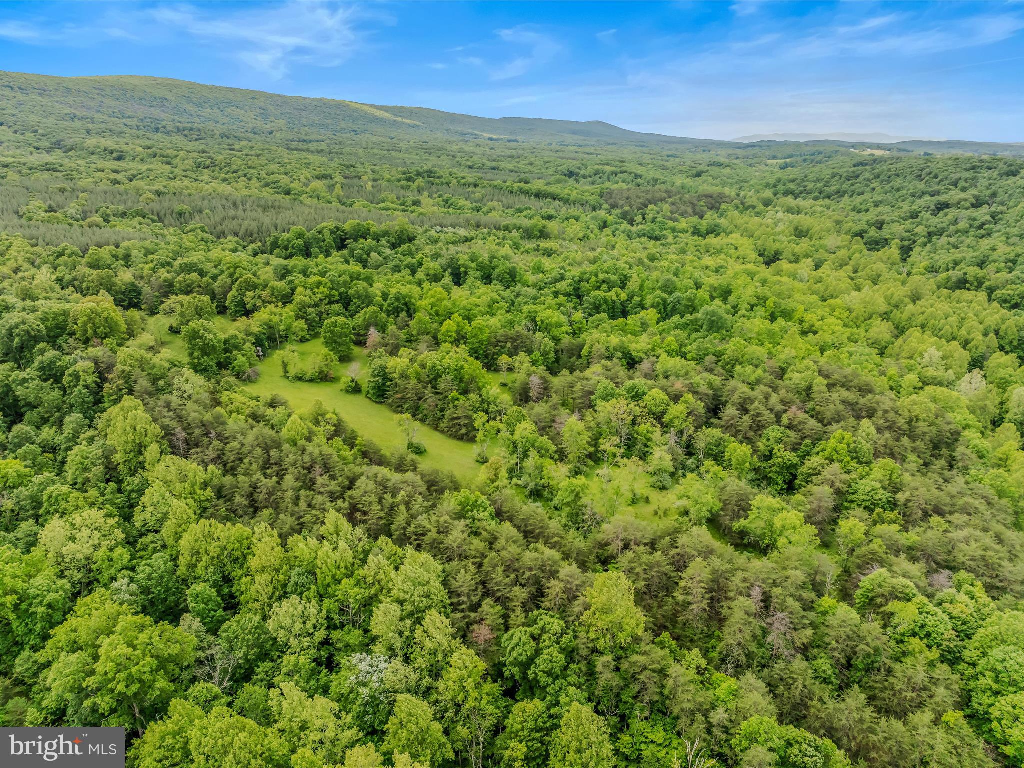2429 Posey Hollow Rd