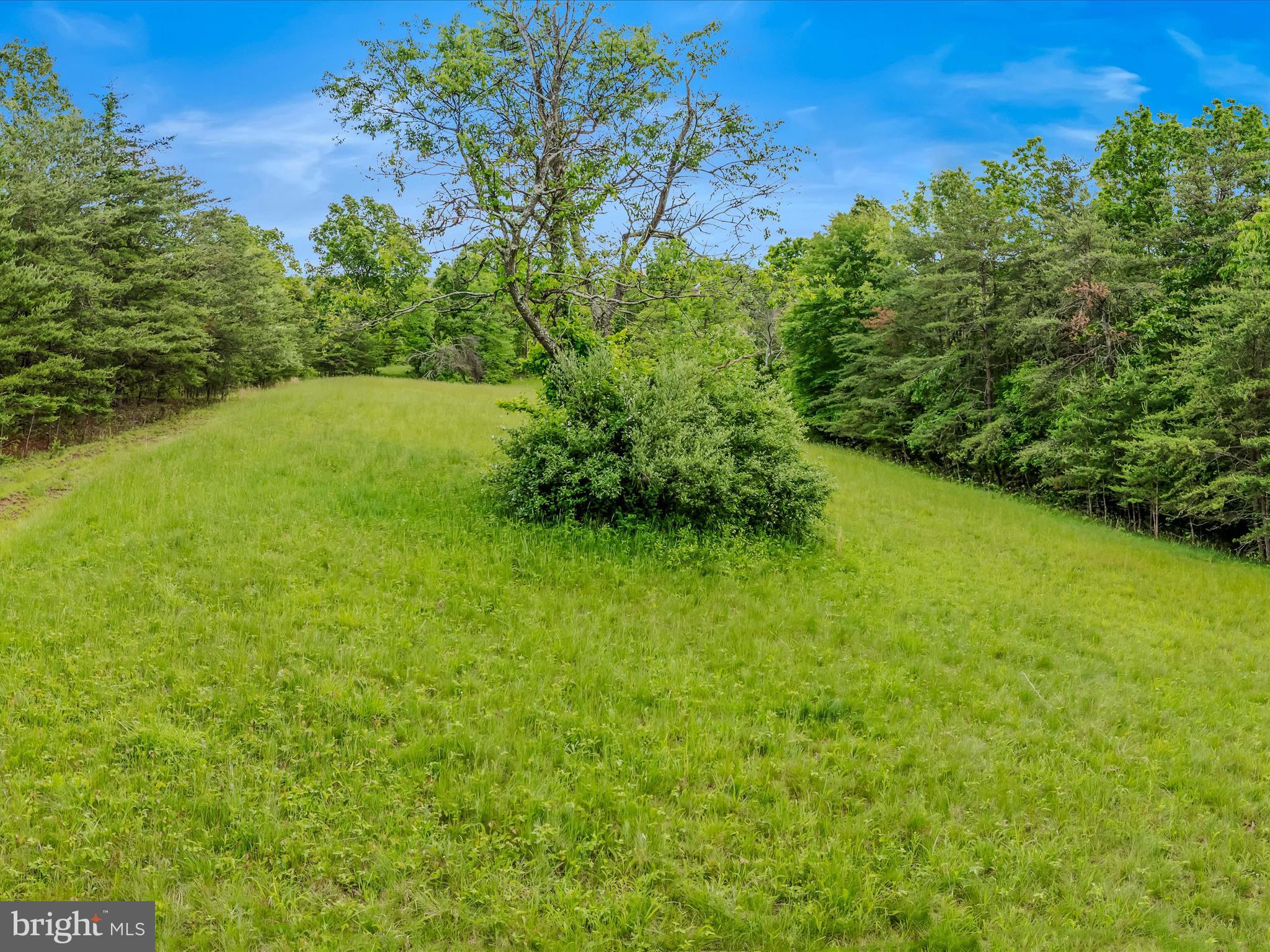 2429 Posey Hollow Rd