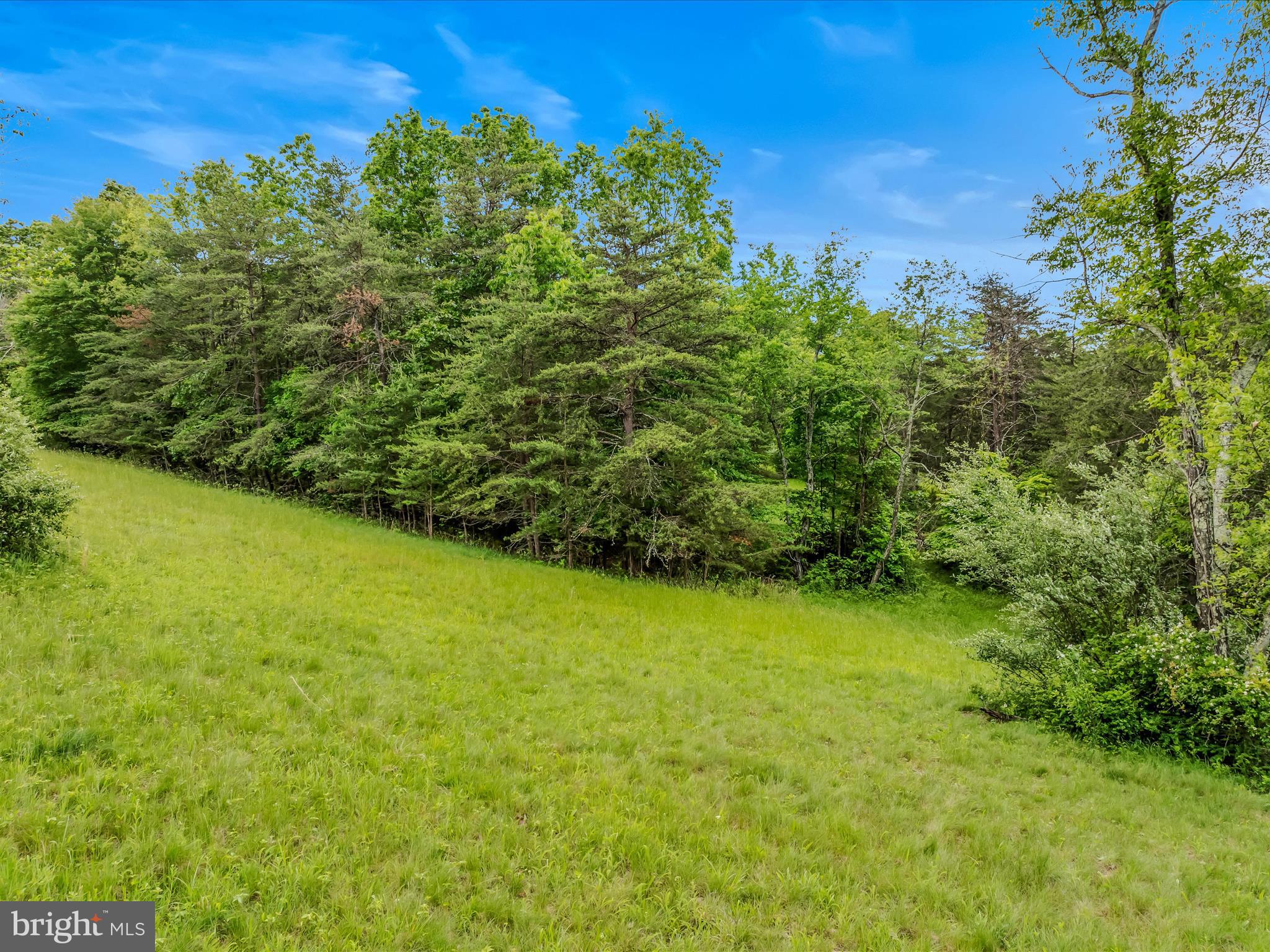 2429 Posey Hollow Rd