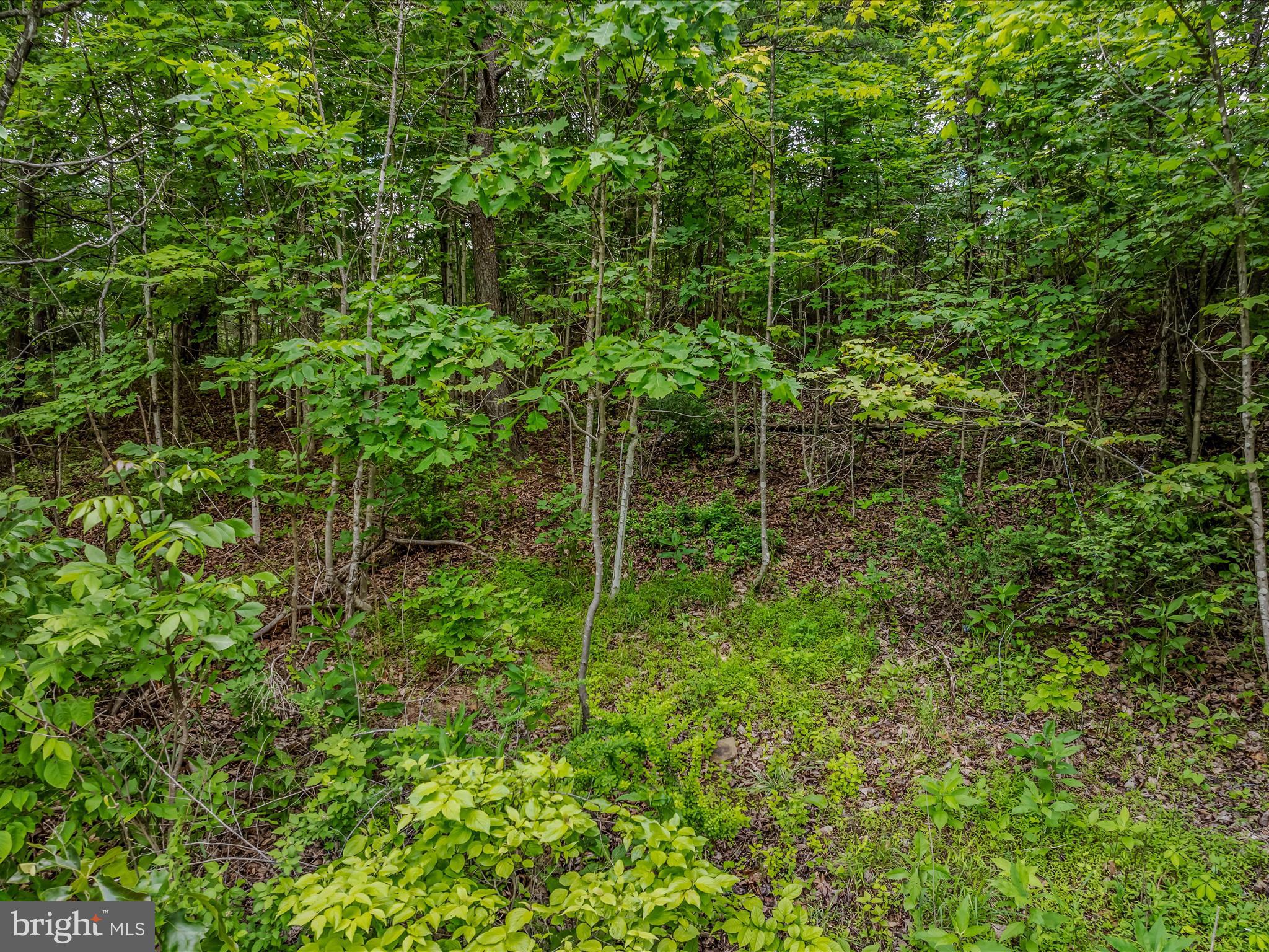 2429 Posey Hollow Rd