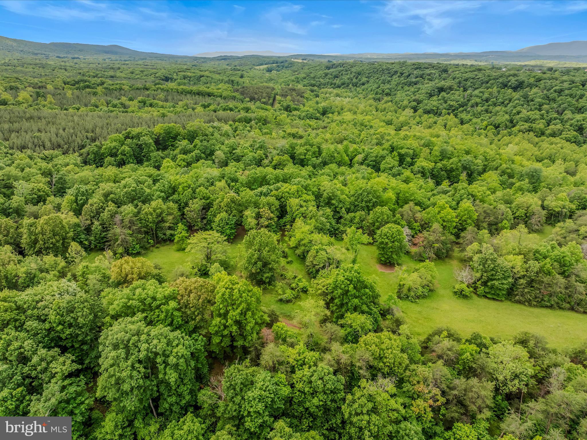 2429 Posey Hollow Rd
