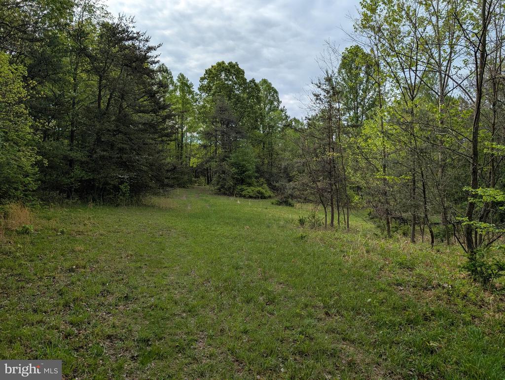 2429 Posey Hollow Rd