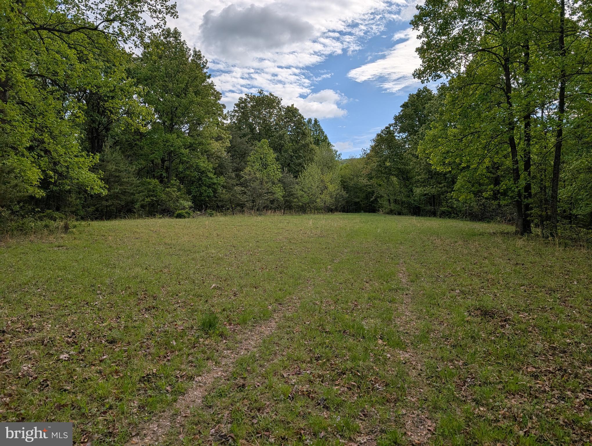 2429 Posey Hollow Rd