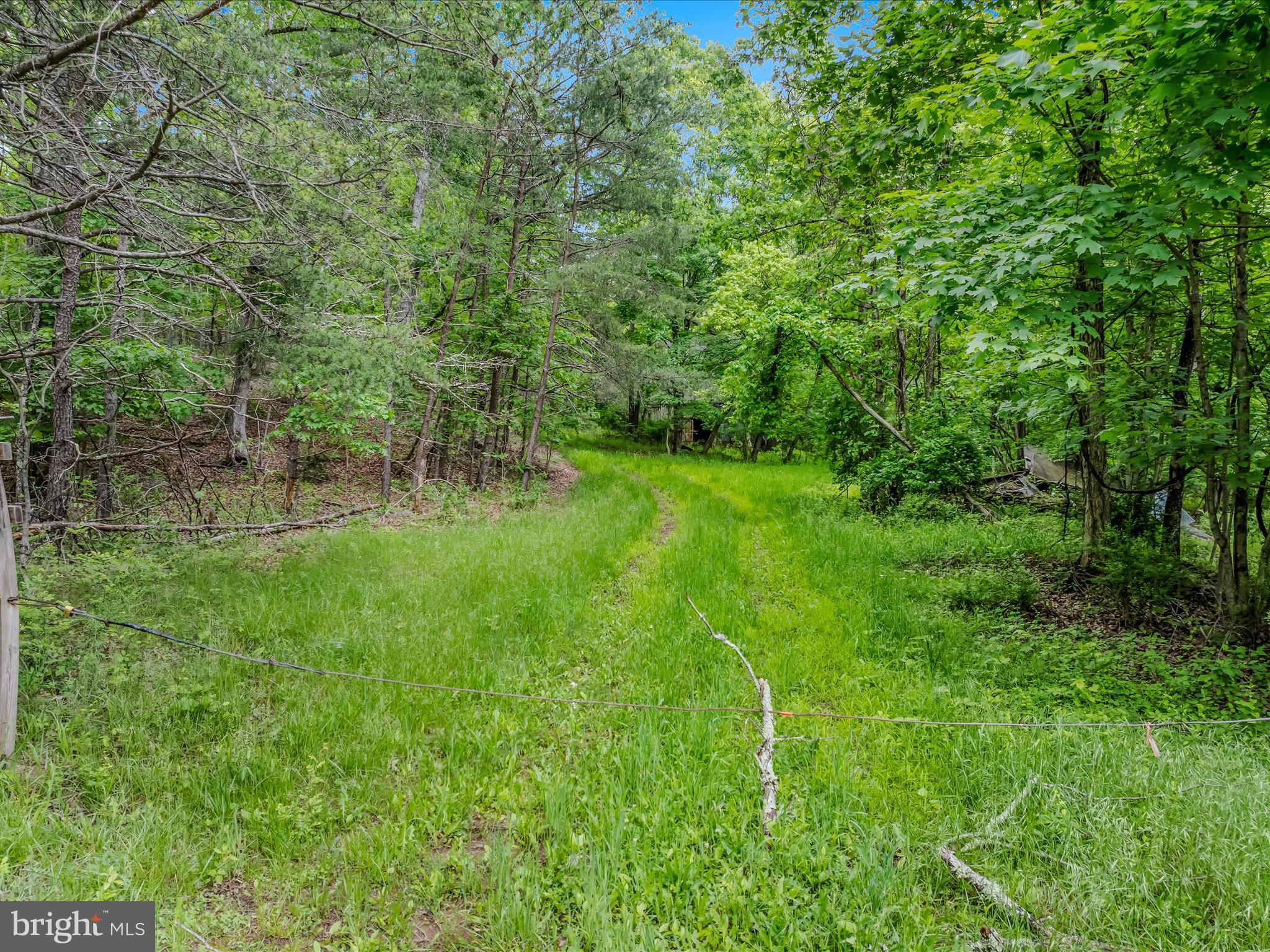2429 Posey Hollow Rd