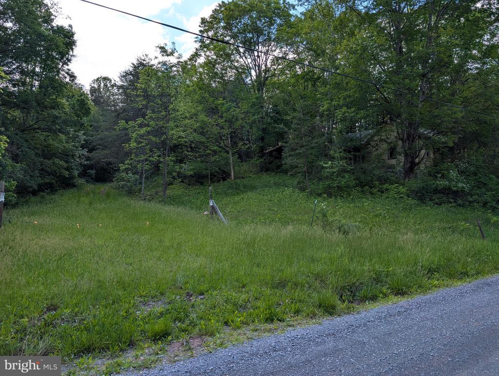 2429 Posey Hollow Rd