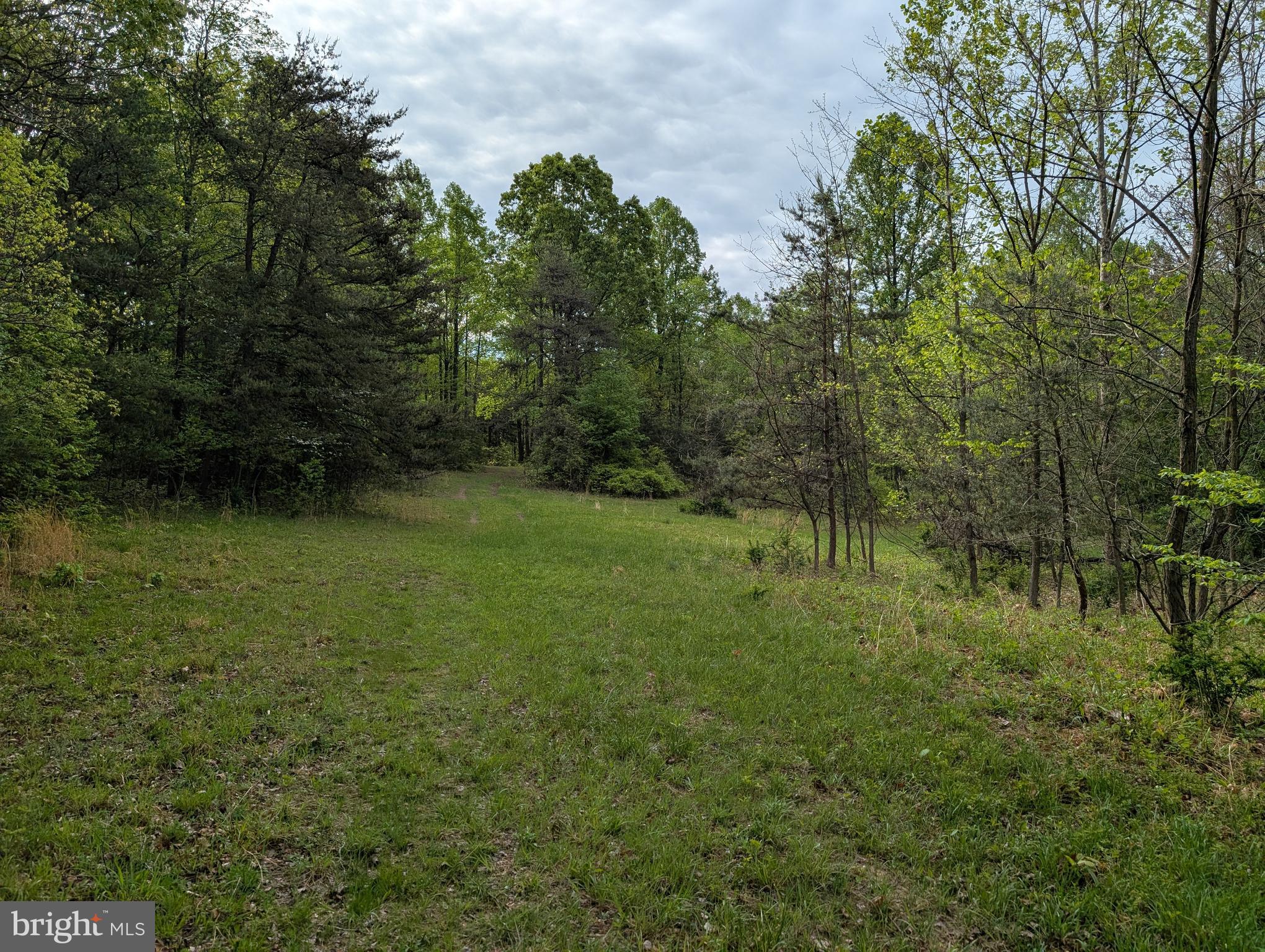 2429 Posey Hollow Rd