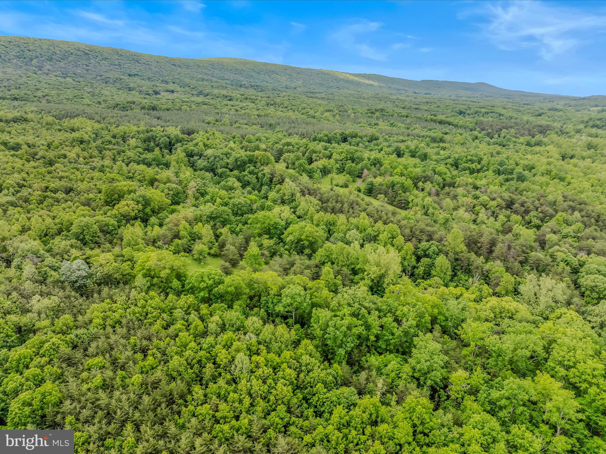 2429 Posey Hollow Rd