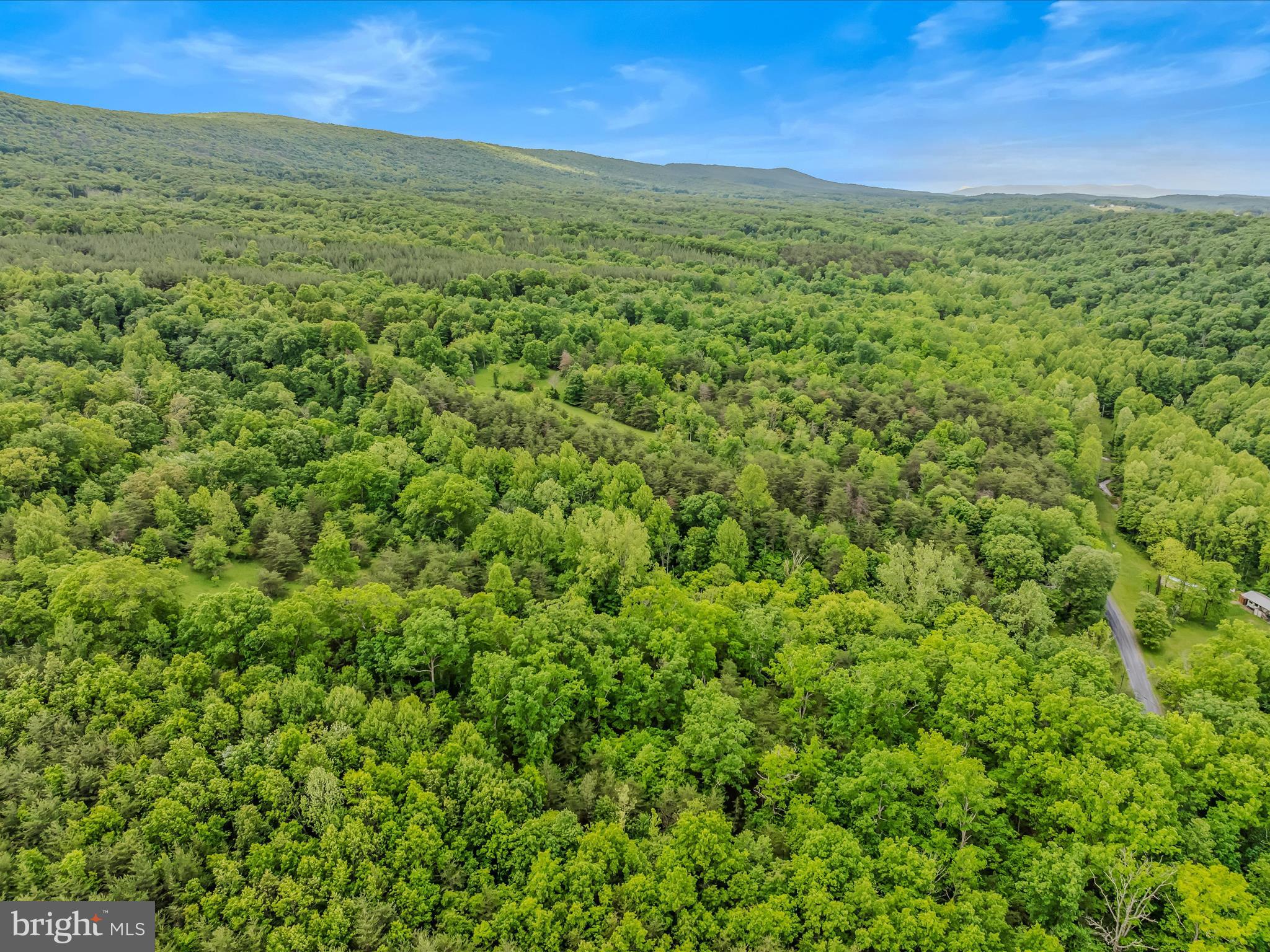 2429 Posey Hollow Rd