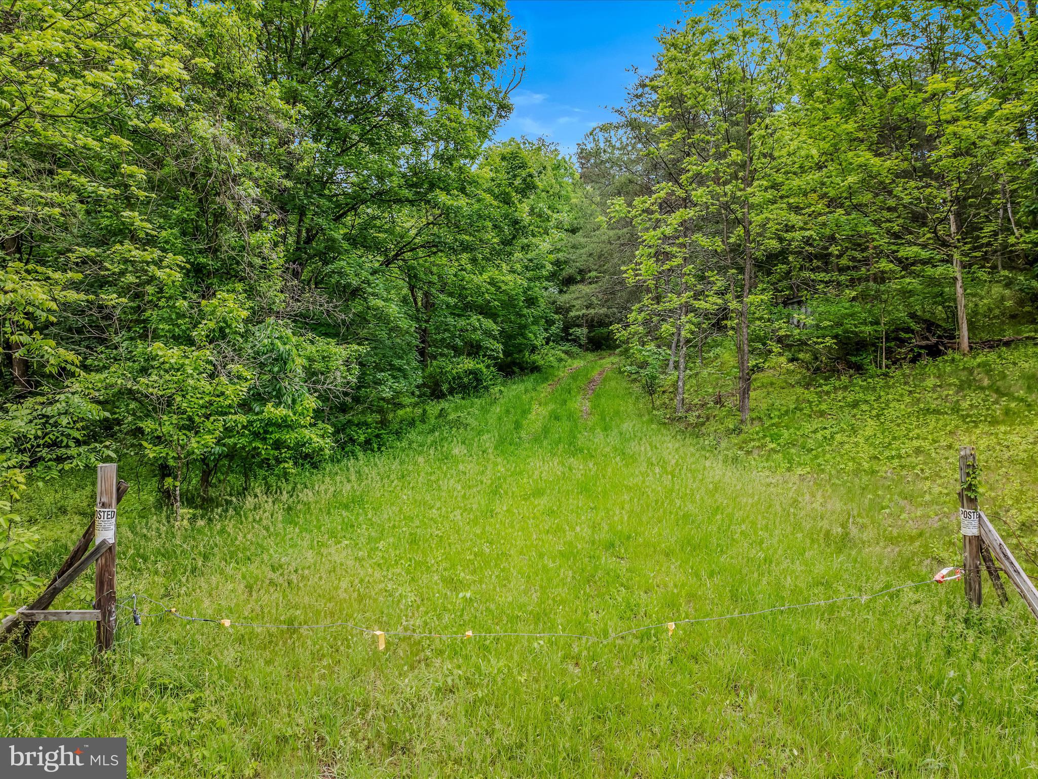 2429 Posey Hollow Rd