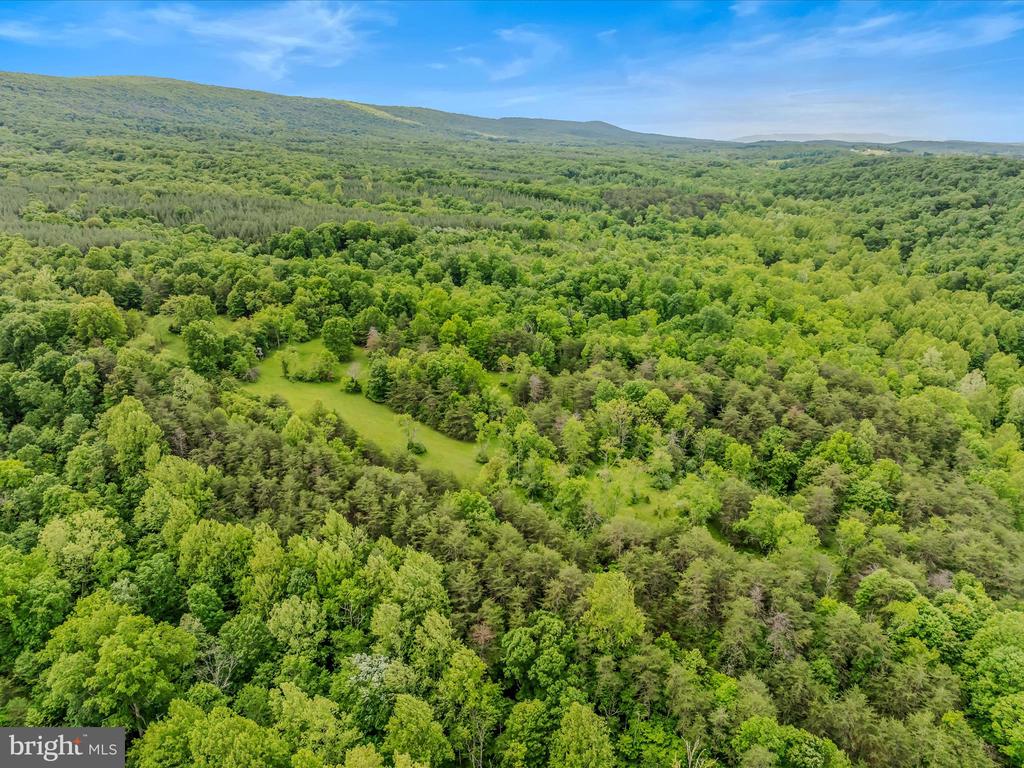 2429 Posey Hollow Rd