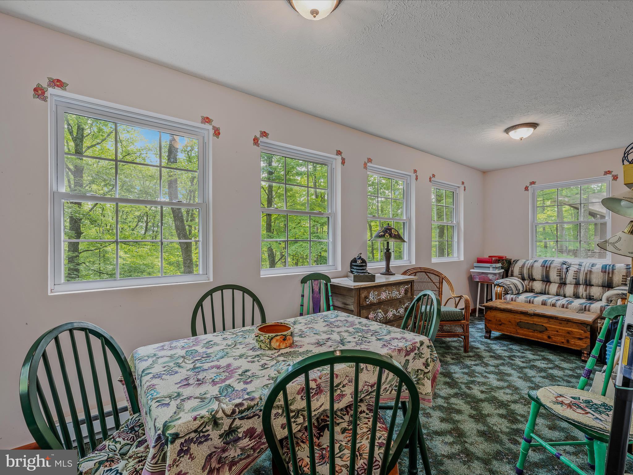 17 MOUNTAINSIDE LOOP