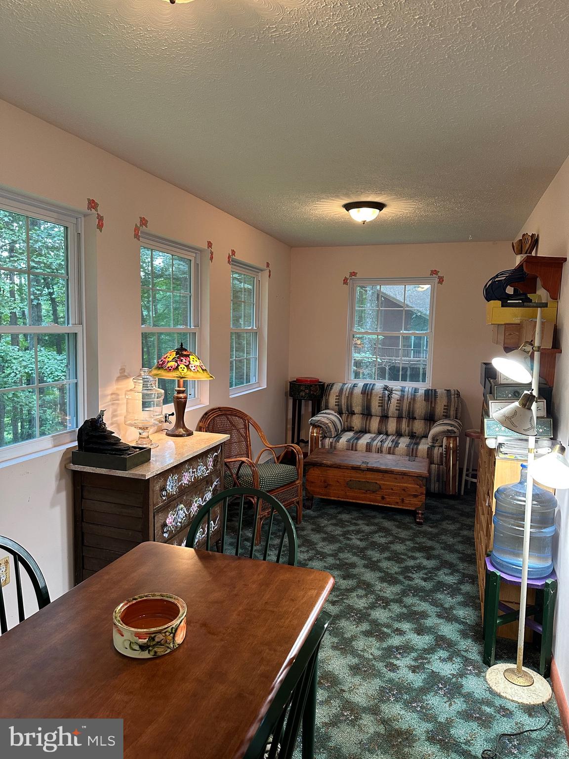 17 MOUNTAINSIDE LOOP