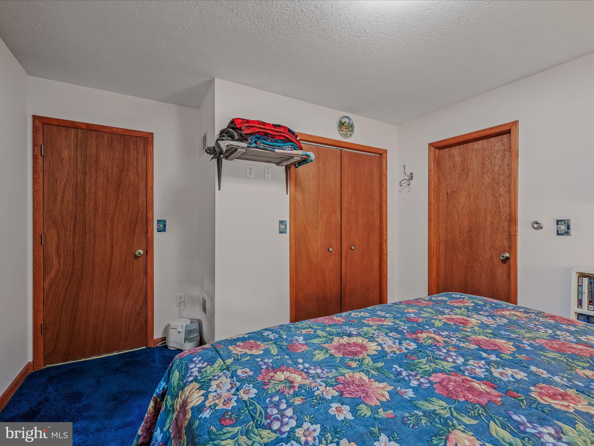 17 MOUNTAINSIDE LOOP