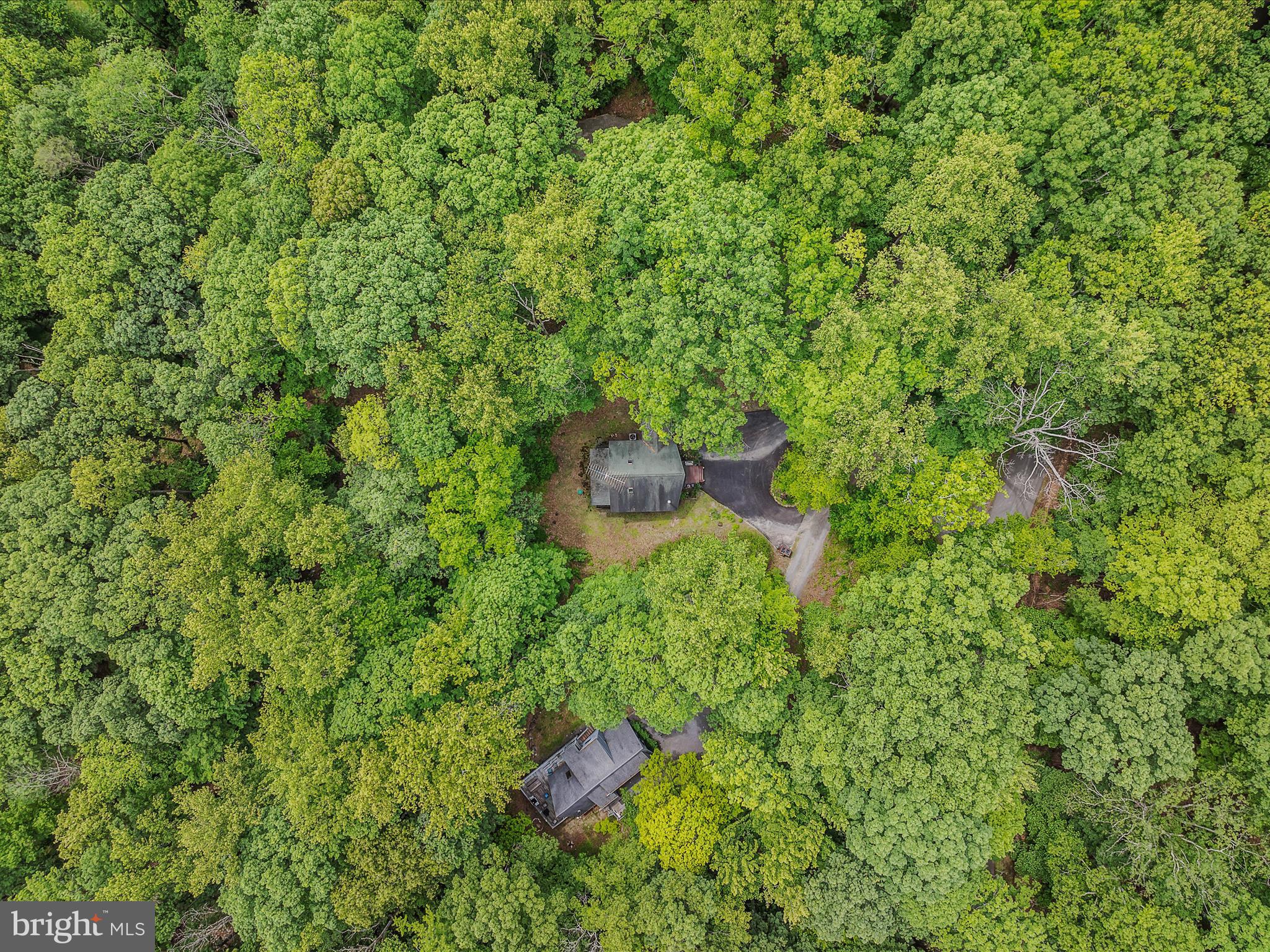 17 MOUNTAINSIDE LOOP