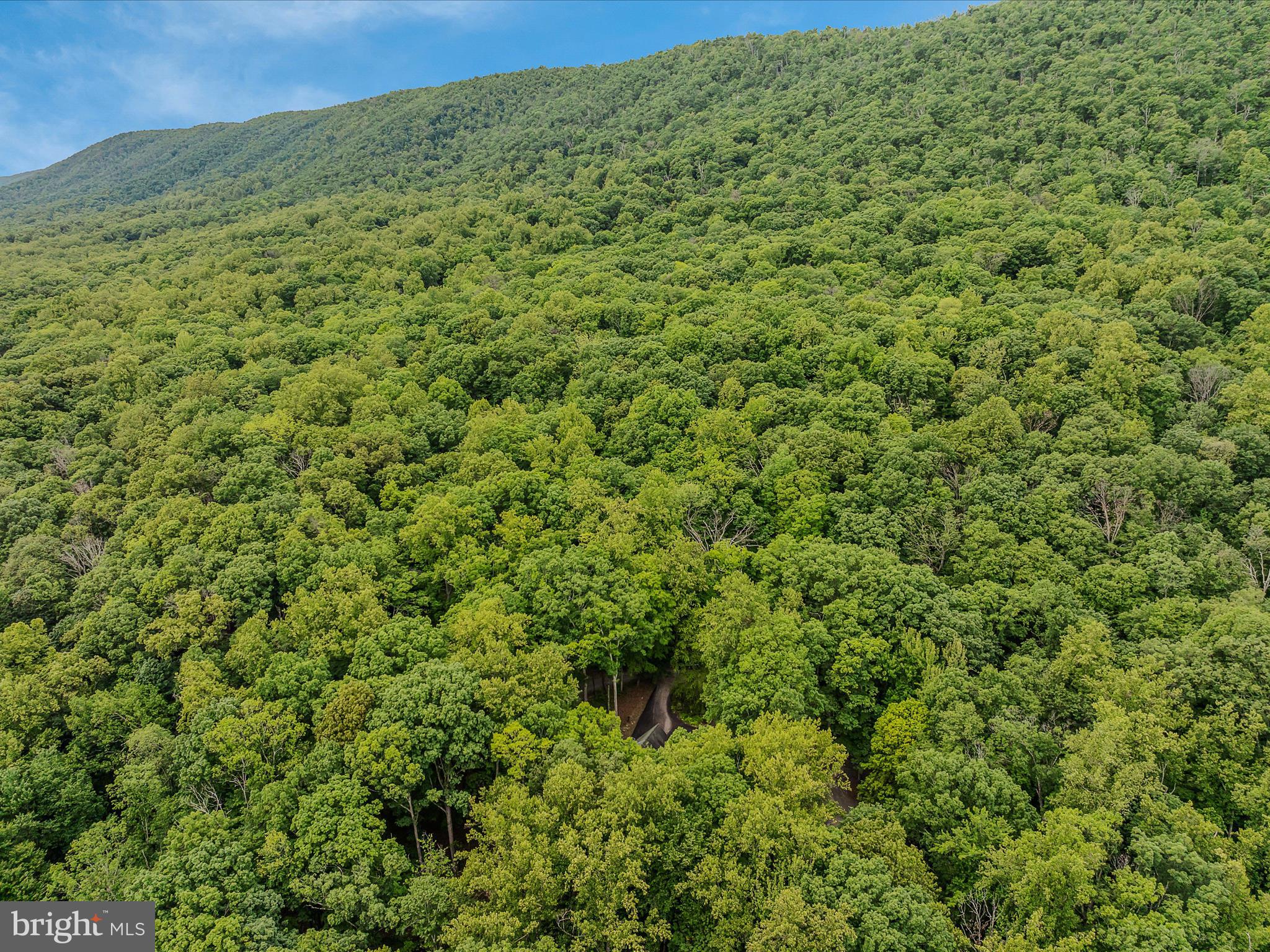 17 MOUNTAINSIDE LOOP