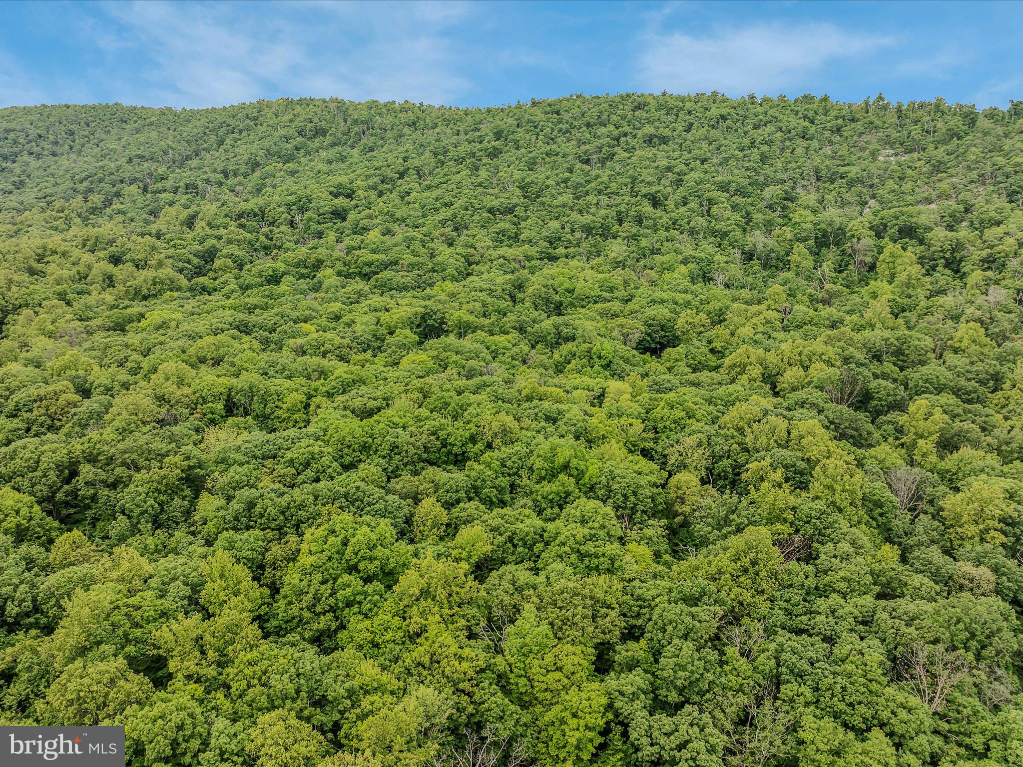 17 MOUNTAINSIDE LOOP