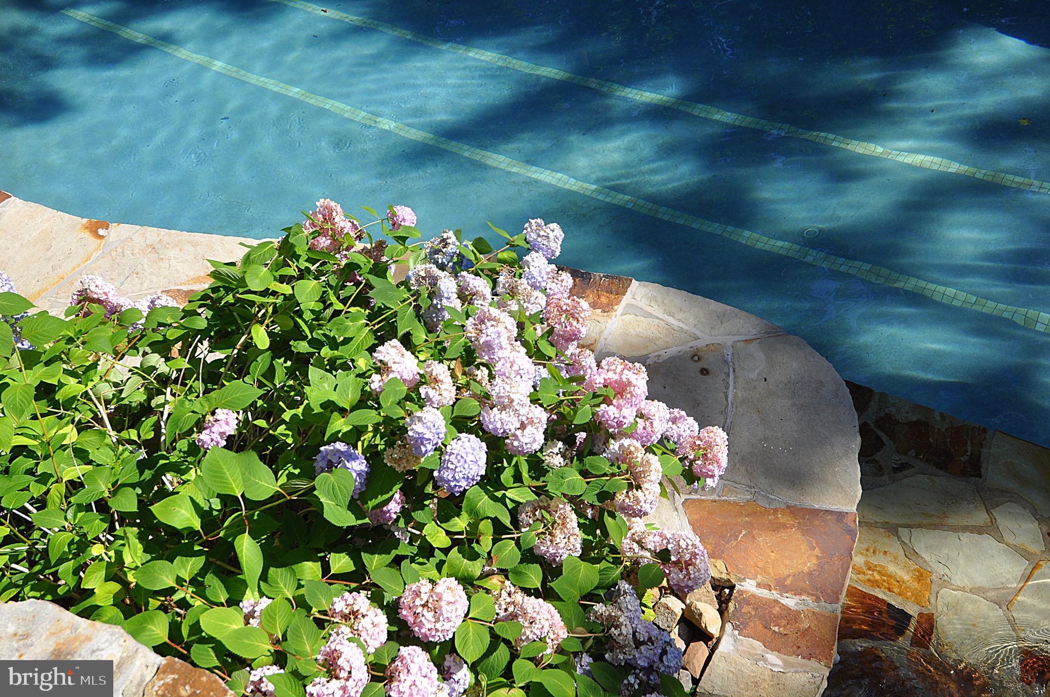 17 MOUNTAINSIDE LOOP