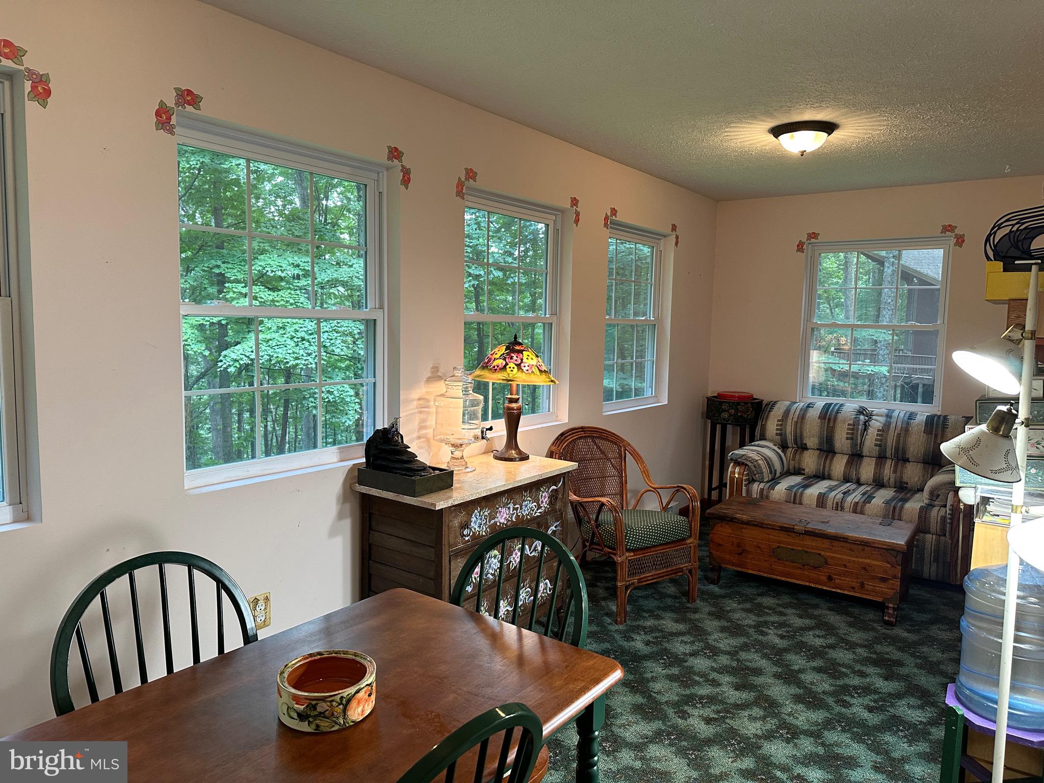 17 MOUNTAINSIDE LOOP