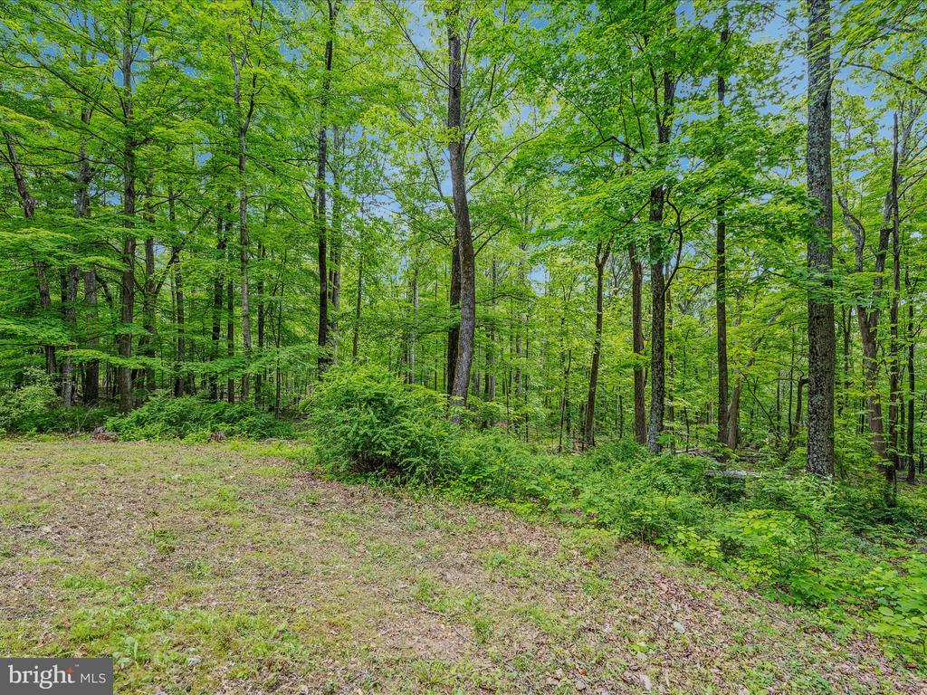 17 MOUNTAINSIDE LOOP