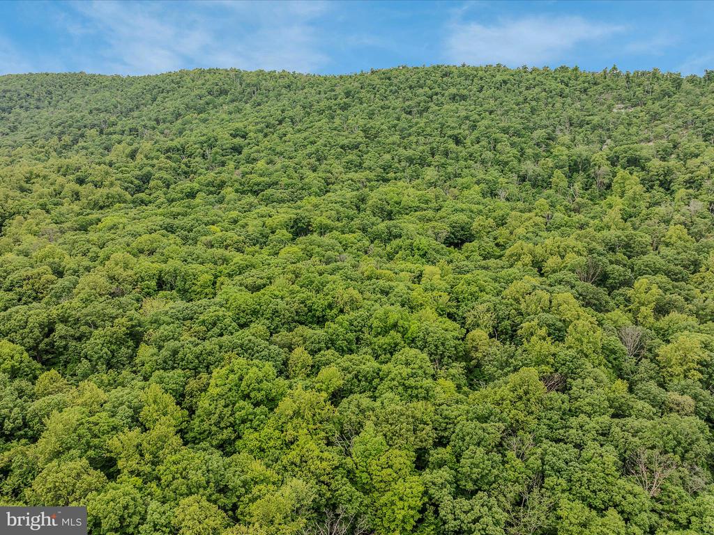 17 MOUNTAINSIDE LOOP